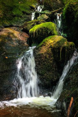 Fransa 'nın güneyindeki Lamontlari komününde küçük şelaleleri olan küçük bir dere. Tarn ve Occitanie Bölgesi 'nde bulunan yeşil yosunlarla dolu bir su yolu..