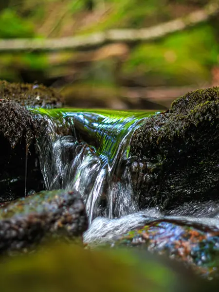 Fransa 'nın güneyindeki Lamontlari komününde küçük şelaleleri olan küçük bir dere. Tarn ve Occitanie Bölgesi 'nde bulunan yeşil yosunlarla dolu bir su yolu..