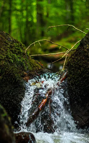 Fransa 'nın güneyindeki Lamontlari komününde küçük şelaleleri olan küçük bir dere. Tarn ve Occitanie Bölgesi 'nde bulunan yeşil yosunlarla dolu bir su yolu..