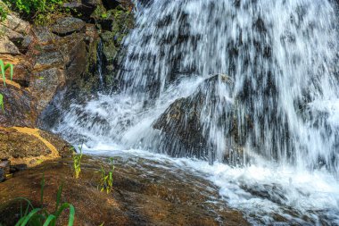 Alzeau nehrinin manzarası Saint Denis barajının altında. Yazın Fransa 'nın güneyindeki yeşilliğin ortasında bir kayanın üzerinde şelale..