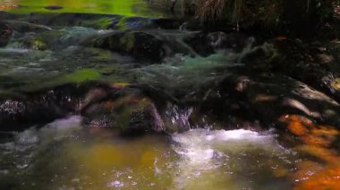 Aude departmanındaki küçük bir derenin manzarası, Occitanie 'deki Montagne Noire eteklerinde. Fransa 'nın güneyinde yoğun bir orman.