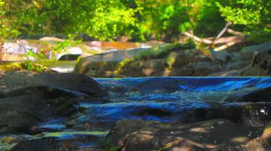 Aude departmanındaki küçük bir derenin manzarası, Occitanie 'deki Montagne Noire eteklerinde. Fransa 'nın güneyinde yoğun bir orman.