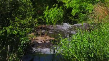 Saint Denis, Aude 'deki Alzeau Nehri şelalesinin 20 saniyelik bir videosu. Fransa 'nın güneyinde kayaların arasına bir şelale kurulmuş..