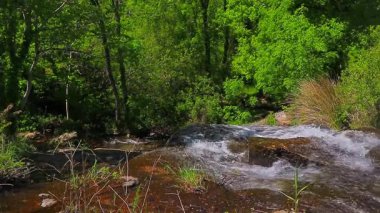 Saint Denis, Aude 'deki Alzeau Nehri şelalesinin 20 saniyelik bir videosu. Fransa 'nın güneyinde kayaların arasına bir şelale kurulmuş..