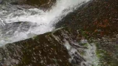 Saint Denis, Aude 'deki Alzeau Nehri şelalesinin 20 saniyelik bir videosu. Fransa 'nın güneyinde kayaların arasına bir şelale kurulmuş..