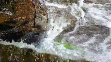 Saint Denis, Aude 'deki Alzeau Nehri şelalesinin 20 saniyelik bir videosu. Fransa 'nın güneyinde kayaların arasına bir şelale kurulmuş..