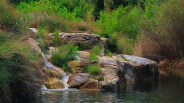 Fransa 'nın güneyinde kurumuş sonbahar yapraklarıyla birlikte küçük bir derede akan suyun video çekimi..