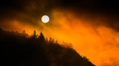 Fransa 'nın güneyindeki La Ravire Gölü üzerindeki gündoğumu manzarası. Güneş ışığı gölden yükselen sisle birlikte sakin suları yansıtıyor. Suya yansıyan ağaç.