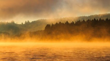 Fransa 'nın güneyindeki La Ravire Gölü üzerindeki gündoğumu manzarası. Güneş ışığı gölden yükselen sisle birlikte sakin suları yansıtıyor. Suya yansıyan ağaç.