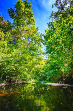 Fransız Occitania 'daki Orbieu Nehri. Kaynağı Aude 'deki Corbires' te..