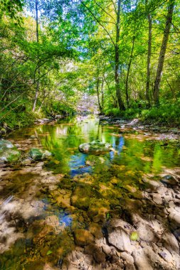 Fransız Occitania 'daki Orbieu Nehri. Kaynağı Aude 'deki Corbires' te..