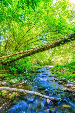 Fransız Occitania 'daki Orbieu Nehri. Kaynağı Aude 'deki Corbires' te..