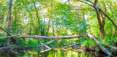 Fransız Occitania 'daki Orbieu Nehri. Kaynağı Aude 'deki Corbires' te..