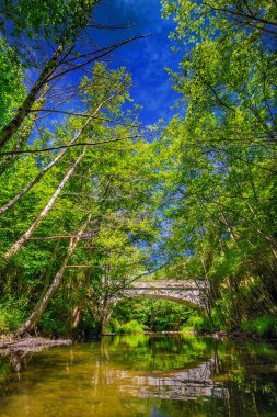 Fransız Occitania 'daki Orbieu Nehri. Kaynağı Aude 'deki Corbires' te..