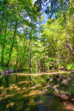 Fransız Occitania 'daki Orbieu Nehri. Kaynağı Aude 'deki Corbires' te..