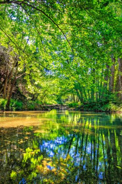 Fransız Occitania 'daki Orbieu Nehri. Kaynağı Aude 'deki Corbires' te..