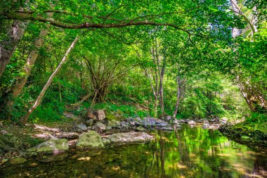Fransız Occitania 'daki Orbieu Nehri. Kaynağı Aude 'deki Corbires' te..