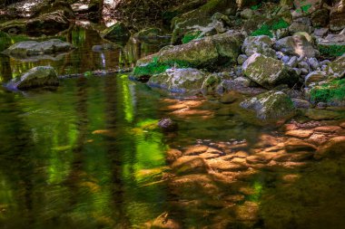 Fransız Occitania 'daki Orbieu Nehri. Kaynağı Aude 'deki Corbires' te..