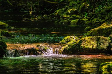 Fransız Occitania 'daki Orbieu Nehri. Kaynağı Aude 'deki Corbires' te..