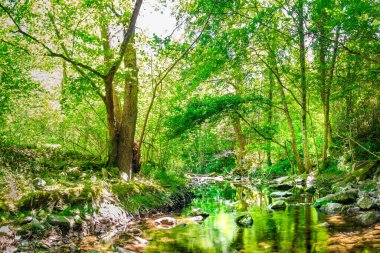 Fransız Occitania 'daki Orbieu Nehri. Kaynağı Aude 'deki Corbires' te..