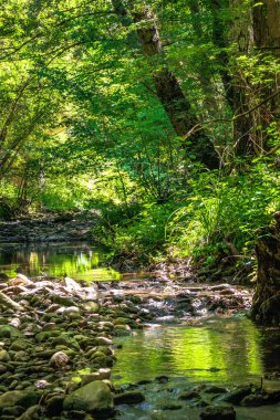 Fransız Occitania 'daki Orbieu Nehri. Kaynağı Aude 'deki Corbires' te..
