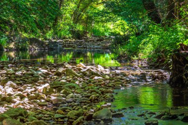 Fransız Occitania 'daki Orbieu Nehri. Kaynağı Aude 'deki Corbires' te..