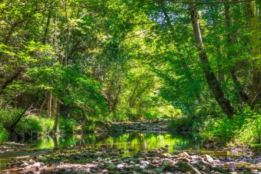 Fransız Occitania 'daki Orbieu Nehri. Kaynağı Aude 'deki Corbires' te..