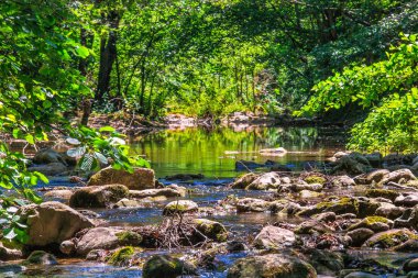 Fransız Occitania 'daki Orbieu Nehri. Kaynağı Aude 'deki Corbires' te..