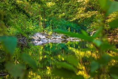 Fransız Occitania 'daki Orbieu Nehri. Kaynağı Aude 'deki Corbires' te..