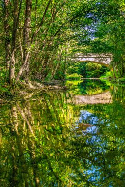 Fransız Occitania 'daki Orbieu Nehri. Kaynağı Aude 'deki Corbires' te..