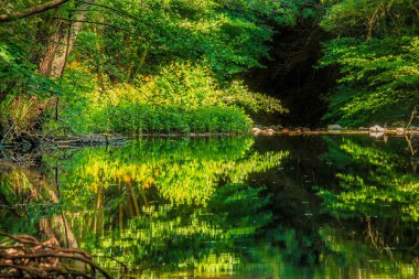 Fransız Occitania 'daki Orbieu Nehri. Kaynağı Aude 'deki Corbires' te..