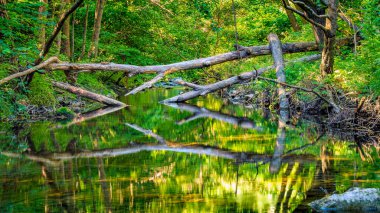 Fransız Occitania 'daki Orbieu Nehri. Kaynağı Aude 'deki Corbires' te..