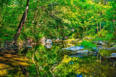Fransız Occitania 'daki Orbieu Nehri. Kaynağı Aude 'deki Corbires' te..
