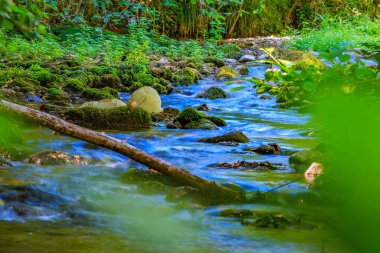 Fransız Occitania 'daki Orbieu Nehri. Kaynağı Aude 'deki Corbires' te..