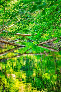 Fransız Occitania 'daki Orbieu Nehri. Kaynağı Aude 'deki Corbires' te..