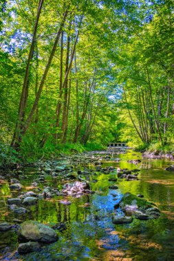 Fransız Occitania 'daki Orbieu Nehri. Kaynağı Aude 'deki Corbires' te..