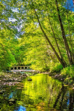 Fransız Occitania 'daki Orbieu Nehri. Kaynağı Aude 'deki Corbires' te..