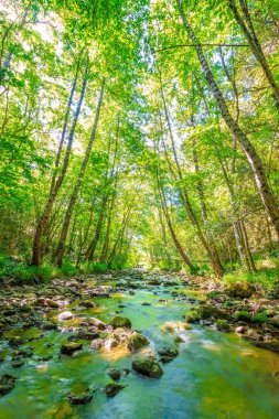 Fransız Occitania 'daki Orbieu Nehri. Kaynağı Aude 'deki Corbires' te..