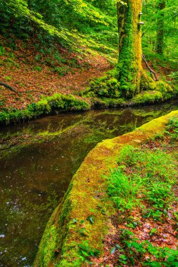 Rigole de la Montagne Noire, Fransa 'nın Tarn bölgesinde bulunan bir sulama kanalıdır. 19. yüzyılda bu kanala Montagne Noire 'den su getirmek için Midi Kanalı' na su sağlamak amacıyla inşa edildi..