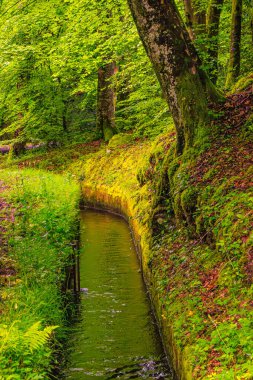 Rigolethe Rigole de la Montagne Noire, Fransa 'nın Tarn bölgesinde yer alan bir sulama kanalıdır. 19. yüzyılda bu kanala Montagne Noire 'den su getirmek için Midi Kanalı' na su sağlamak amacıyla inşa edildi..