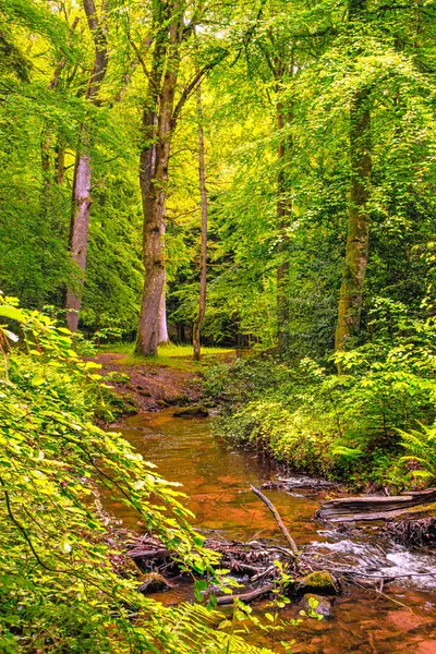 Rigole de la Montagne Noire, Fransa 'nın Tarn bölgesinde bulunan bir sulama kanalıdır. 19. yüzyılda bu kanala Montagne Noire 'den su getirmek için Midi Kanalı' na su sağlamak amacıyla inşa edildi..