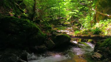 Güney Fransa 'nın Hautes Corbires dağlarındaki Aguzou Nehri' nin 20 saniyelik bir videosu hala çekiliyor. Ormanın ortasında küçük şelaleler..