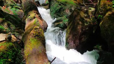 Güney Fransa 'nın Hautes Corbires dağlarındaki Aguzou Nehri' nin 20 saniyelik bir videosu hala çekiliyor. Ormanın ortasında küçük şelaleler..