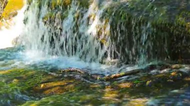 Aude departmanındaki küçük bir derenin manzarası, Occitanie 'deki Montagne Noire eteklerinde. Fransa 'nın güneyinde yoğun bir orman.