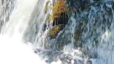 Aude departmanındaki küçük bir derenin manzarası, Occitanie 'deki Montagne Noire eteklerinde. Fransa 'nın güneyinde yoğun bir orman.