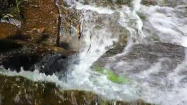 Aude departmanındaki küçük bir derenin manzarası, Occitanie 'deki Montagne Noire eteklerinde. Fransa 'nın güneyinde yoğun bir orman.