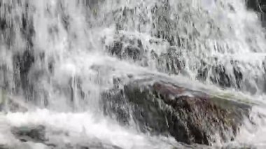 Aude departmanındaki küçük bir derenin manzarası, Occitanie 'deki Montagne Noire eteklerinde. Fransa 'nın güneyinde yoğun bir orman.