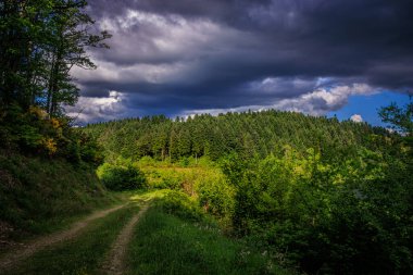 OccitaniaPhoto 'daki Göl Kameraları Fransa' nın güneyindeki Montagne Noire 'de sabahın erken saatlerinde ormanlarla çevrili bir göl.