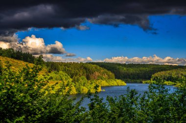 OccitaniaPhoto 'daki Göl Kameraları Fransa' nın güneyindeki Montagne Noire 'de sabahın erken saatlerinde ormanlarla çevrili bir göl.