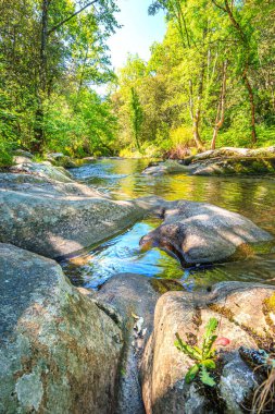Brousse 'daki Dure Nehri' nin ve Fransa 'nın güneyindeki Villaret' in manzarası. Occitanie 'de küçük şelaleler ve çalılıklar.